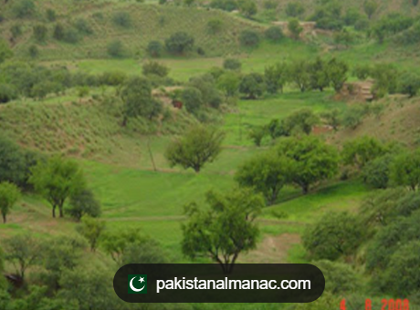 KARAK