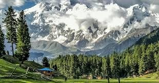Fairy Meadows and Bayal Camp