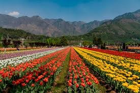 Kashmir and Fairy Meadows